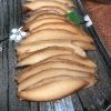 墨西哥風味冷盤鮑魚