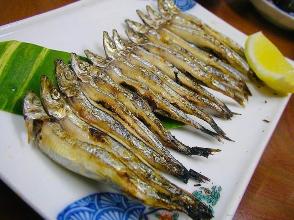 日本丁香魚