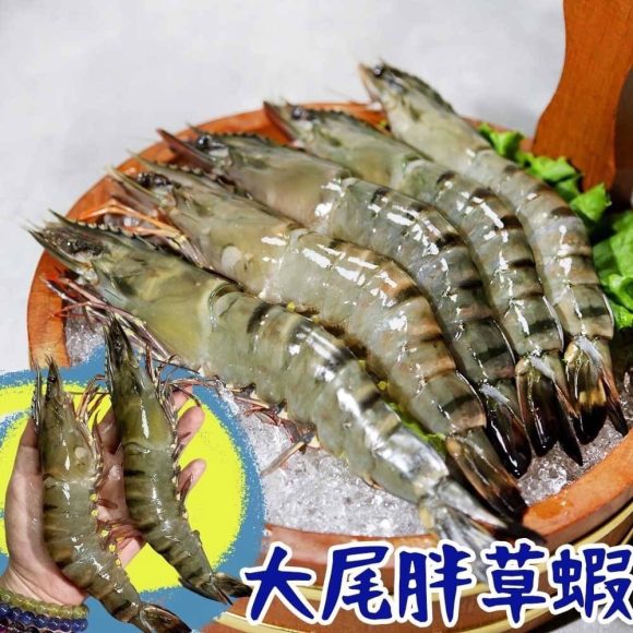 6P活凍超級大草蝦