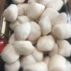 生食級海灣干貝